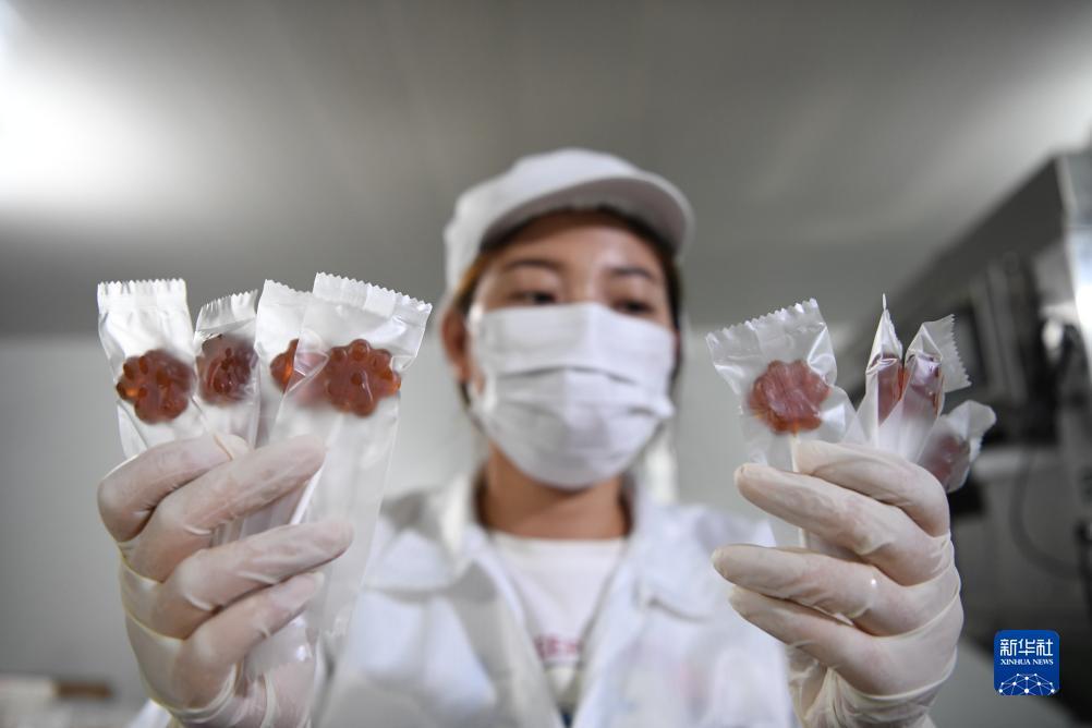 大满贯电子游戏网站平台